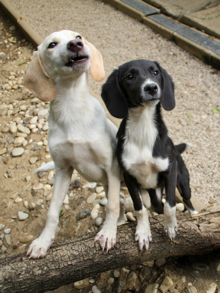 20250806-fotos-flavia-10