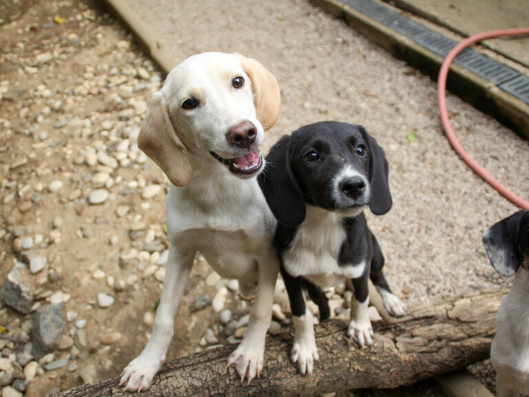 20250806-fotos-flavia-11