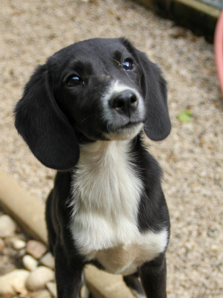 20250806-fotos-flavia-12