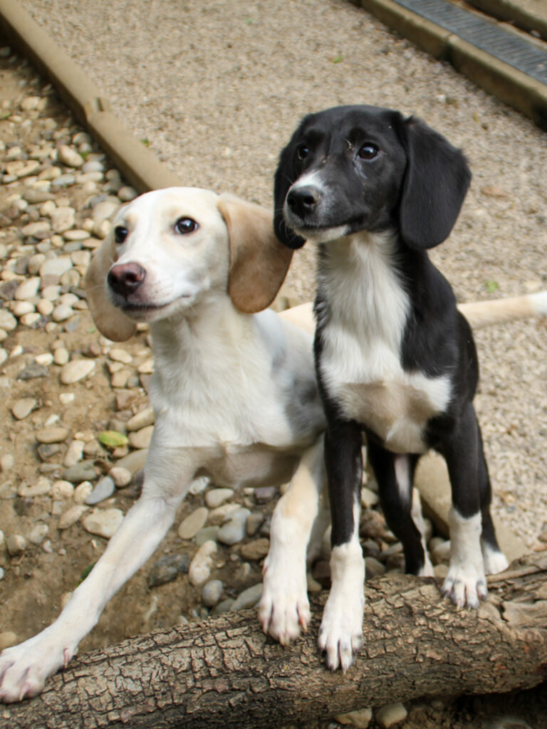 20250806-fotos-flavia-16