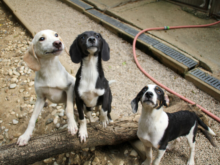 20250806-fotos-flavia-17