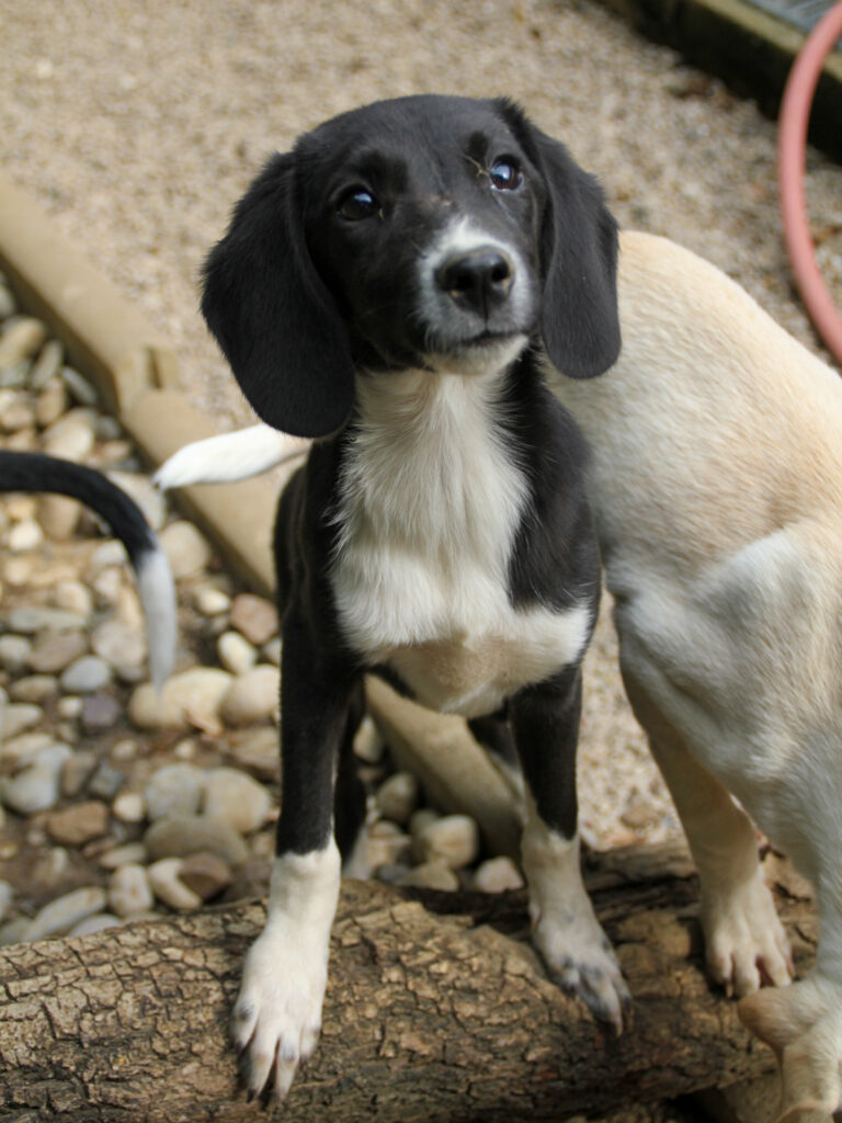 20250806-fotos-flavia-18