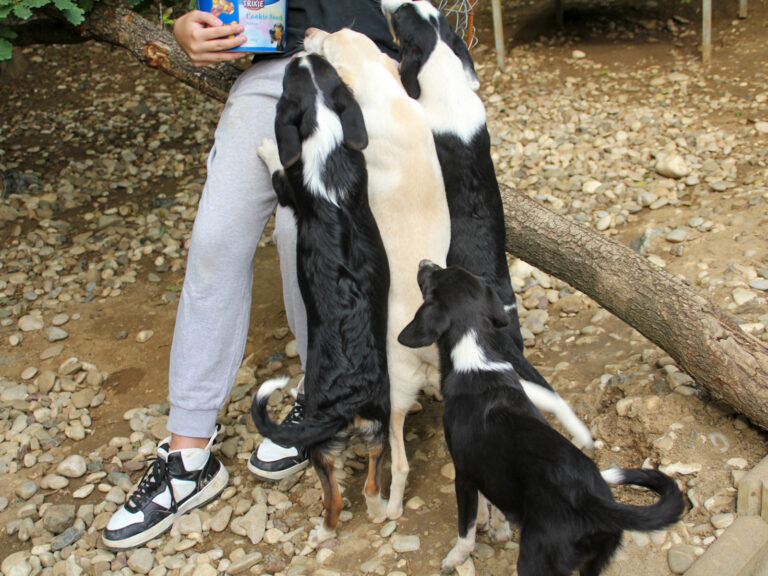 20250806-fotos-flavia-19