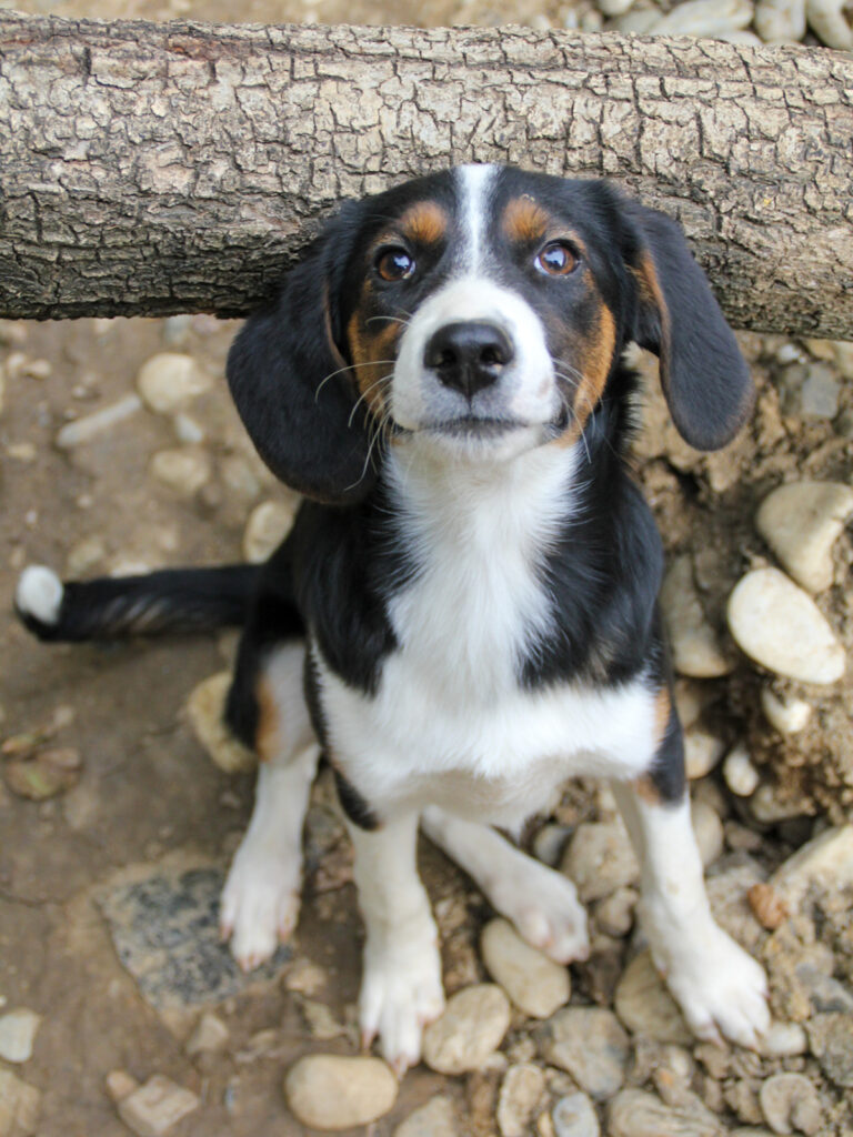 20250806-fotos-loara-01