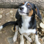 20250806-fotos-loara-03