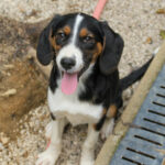 20250806-fotos-loara-04