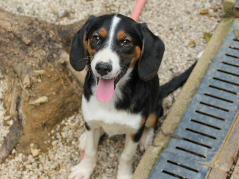 20250806-fotos-loara-04