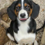 20250806-fotos-loara-05