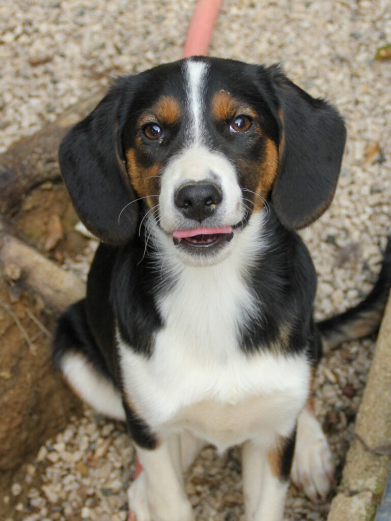 20250806-fotos-loara-05