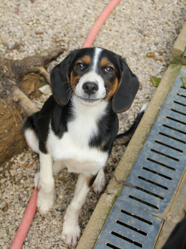 20250806-fotos-loara-07