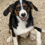 20250806-fotos-loara-08