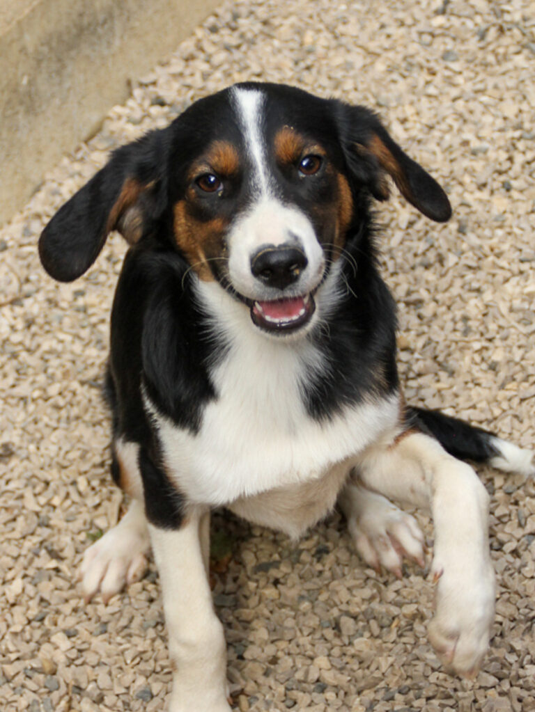 20250806-fotos-loara-08