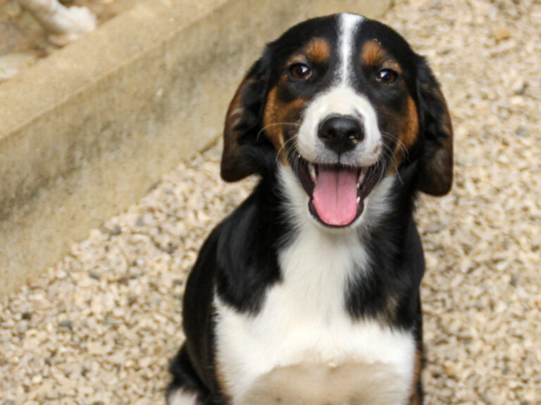 20250806-fotos-loara-10