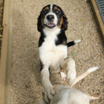 20250806-fotos-loara-11