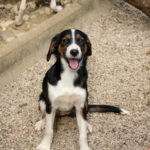 20250806-fotos-loara-12