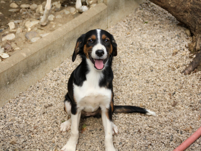 20250806-fotos-loara-12