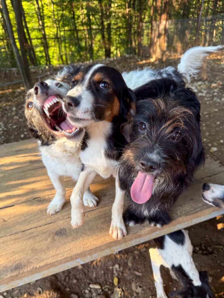 20250806-fotos-loara-13