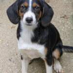 20250806-fotos-loara-14