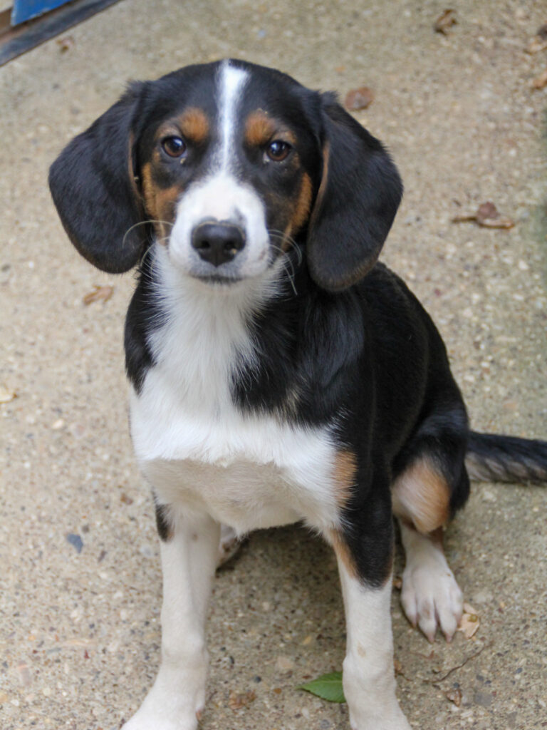 20250806-fotos-loara-14