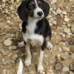 20250806-fotos-loara-15