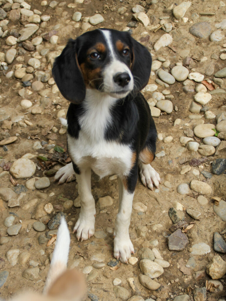 20250806-fotos-loara-15