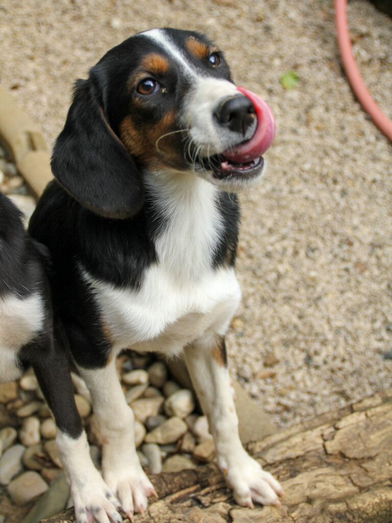 20250806-fotos-loara-16