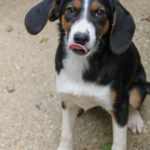 20250806-fotos-loara-18