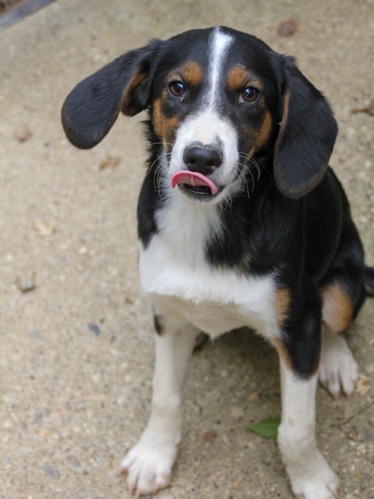 20250806-fotos-loara-18