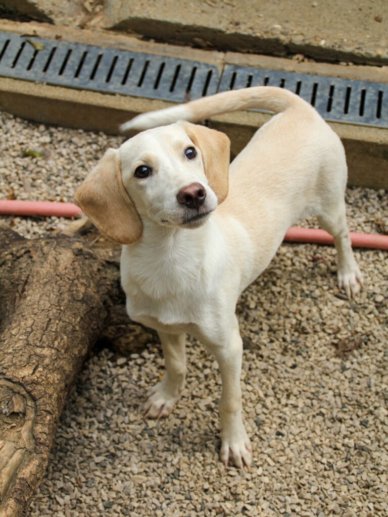 20250806-fotos-tiago-02