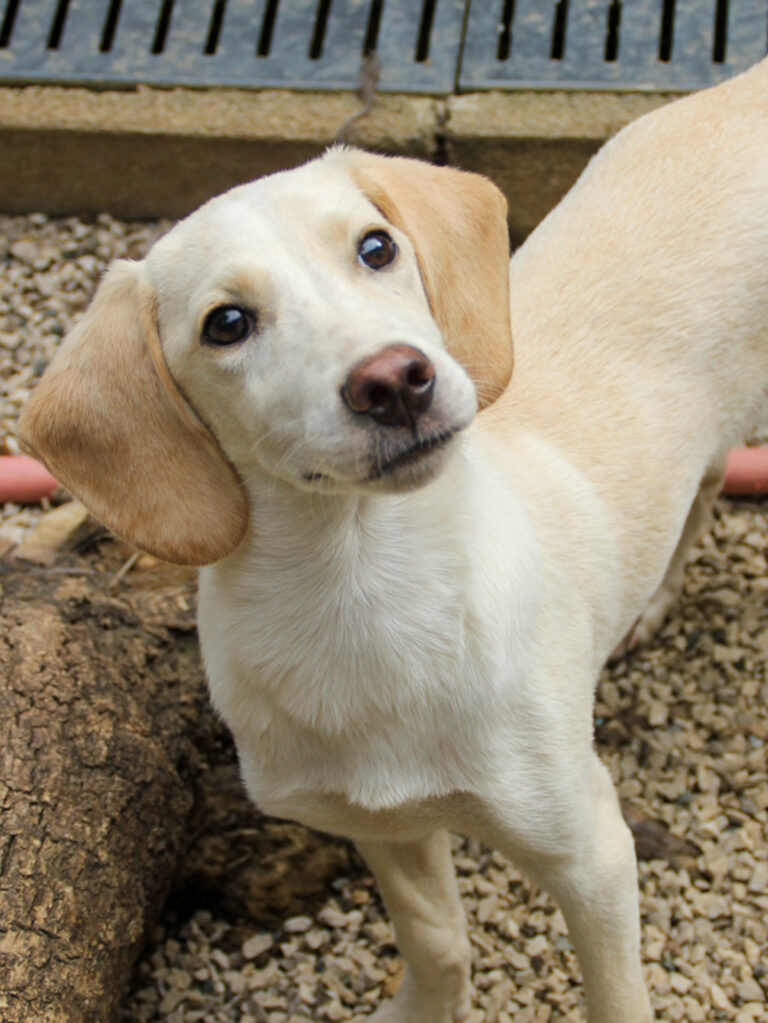 20250806-fotos-tiago-03