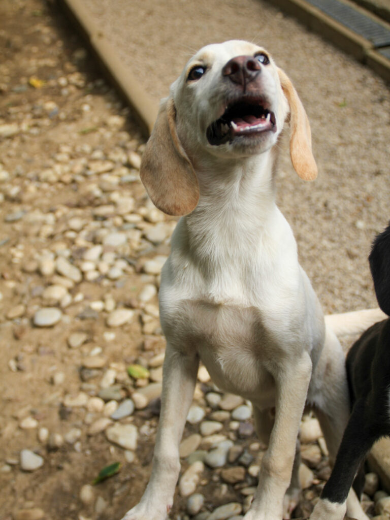 20250806-fotos-tiago-05