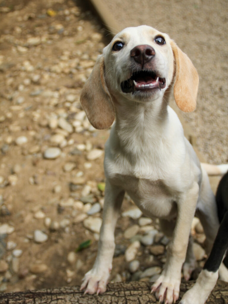 20250806-fotos-tiago-07