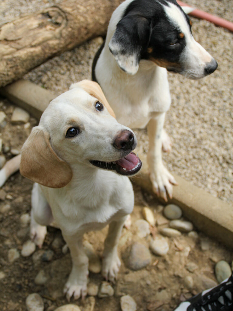 20250806-fotos-tiago-09