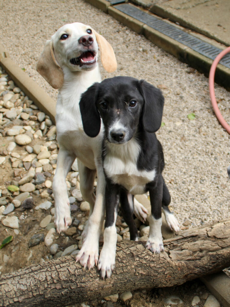 20250806-fotos-tiago-10