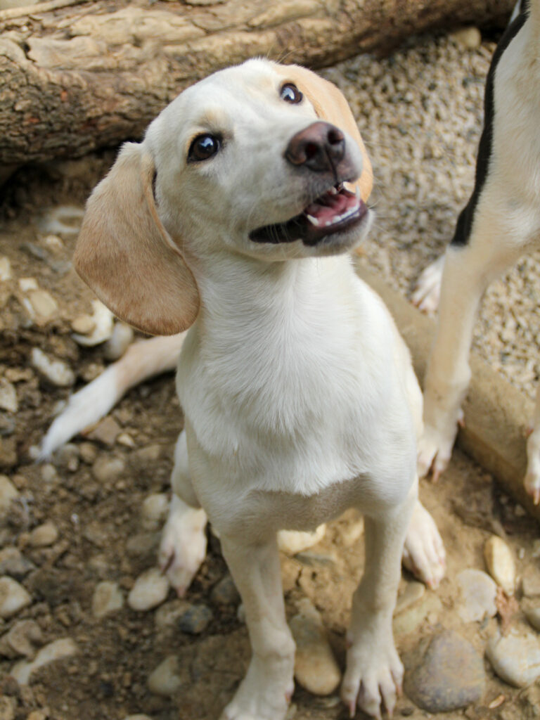 20250806-fotos-tiago-11