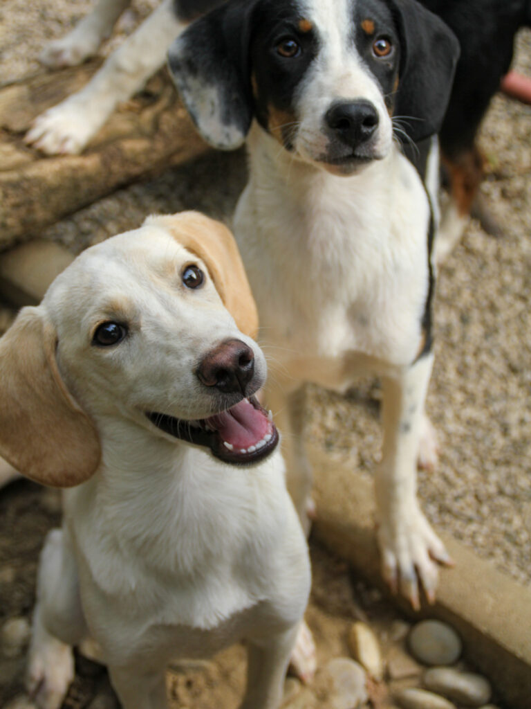 20250806-fotos-tiago-12