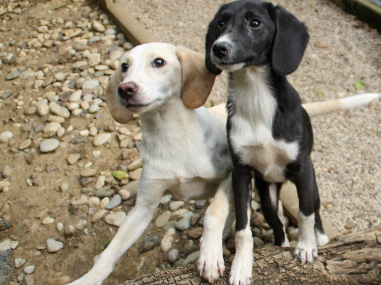 20250806-fotos-tiago-15