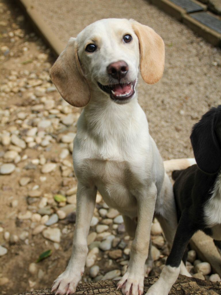 20250806-fotos-tiago-16