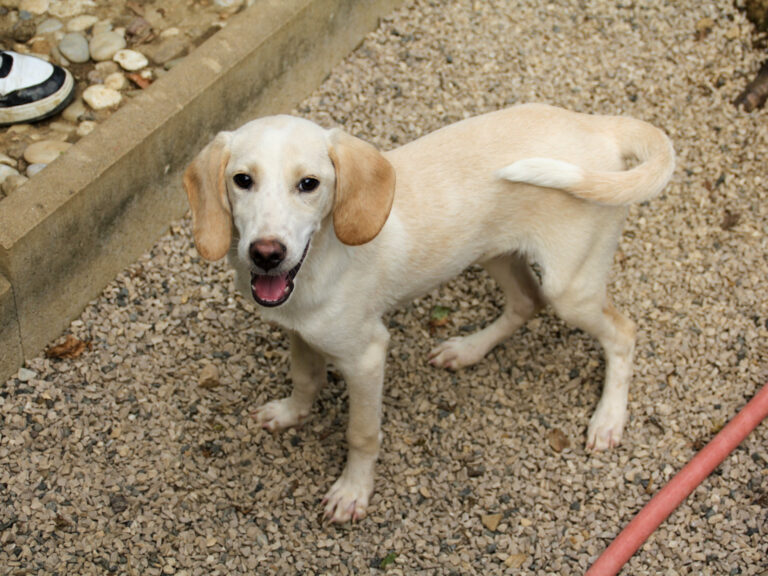 20250806-fotos-tiago-17