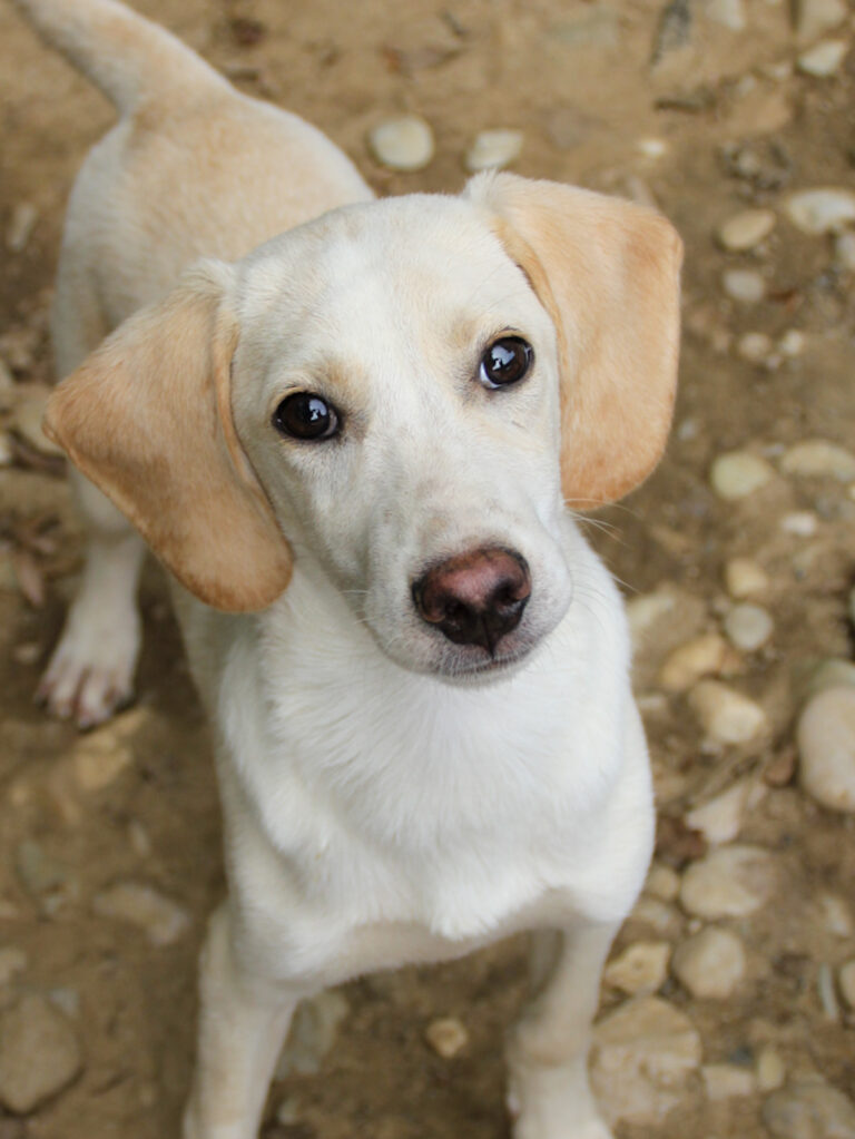 20250806-fotos-tiago-18