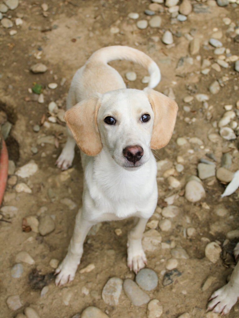 20250806-fotos-tiago-19