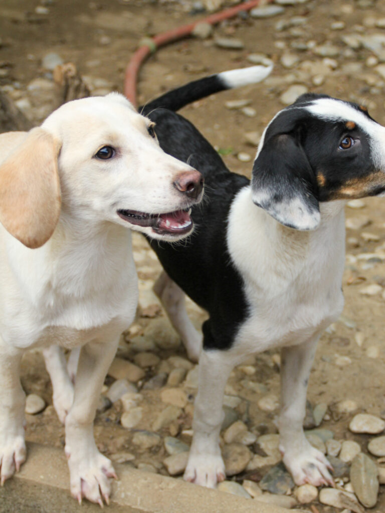 20250806-fotos-tiago-20