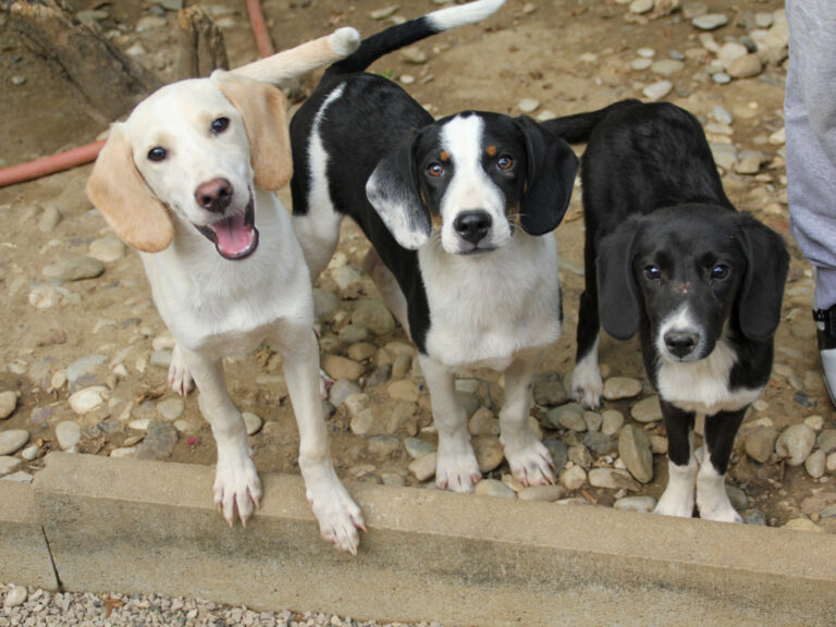 20250806-fotos-tiago-21