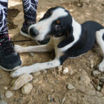 20250815-fotos-aurelio-1