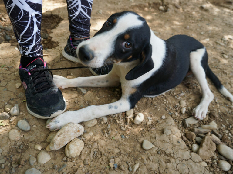 20250815-fotos-aurelio-1