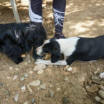 20250815-fotos-aurelio-2