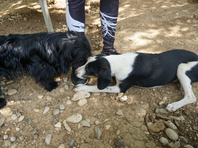 20250815-fotos-aurelio-2