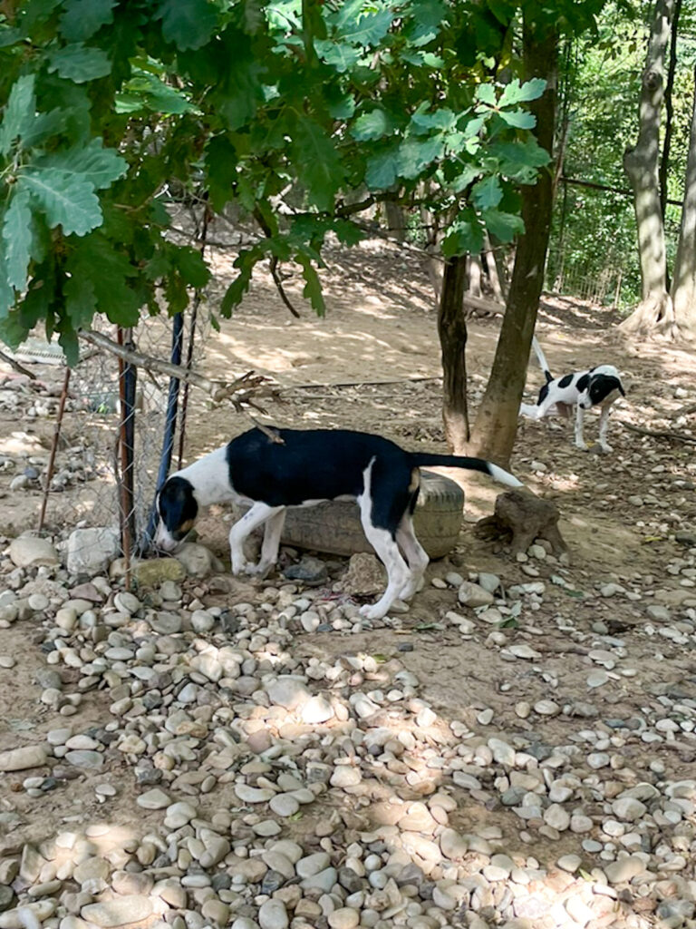 20250815-fotos-aurelio-3