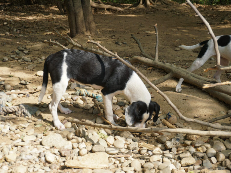 20250815-fotos-aurelio-5