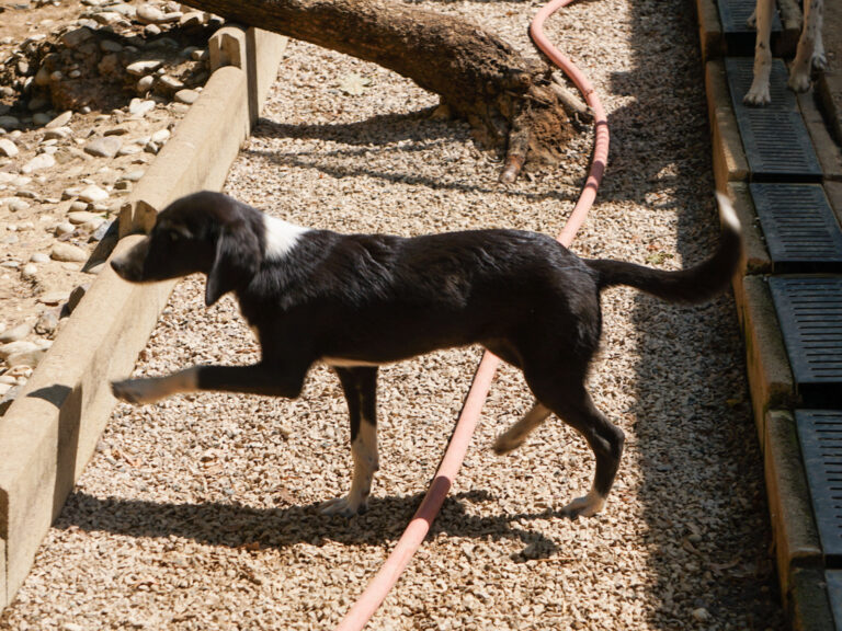 20250815-fotos-flavia-1